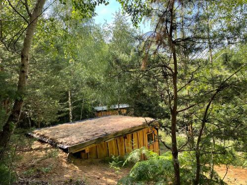 Boutique Glamping Divja Divine