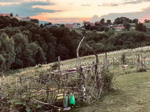 Boutique Glamping Divja Divine