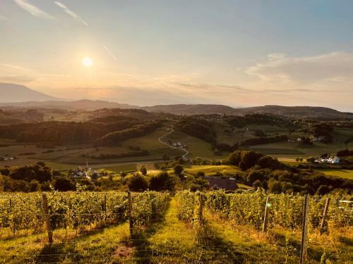 Boutique Glamping Divja Divine