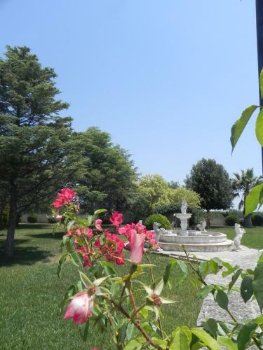 Bed & Breakfast Casal Duca