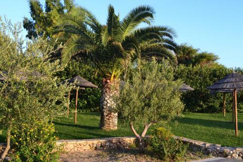 Aparthotel Mon Reve