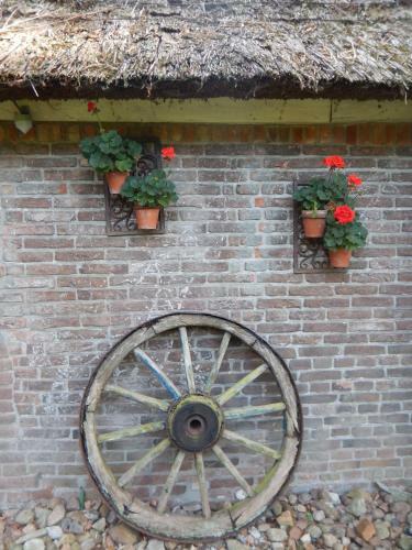 Bed & Breakfast Kozakkenhoeve