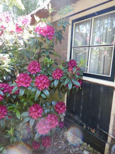 Bed & Breakfast Kozakkenhoeve