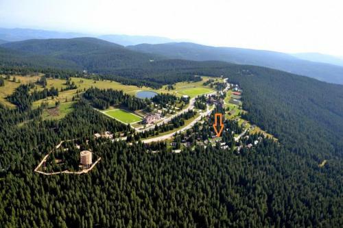 Apartma Macesen