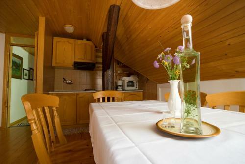 Agroturismo Farm Sor?ev Mlin