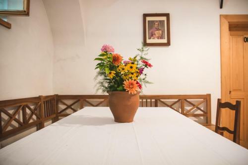 Agroturismo Farm Sor?ev Mlin