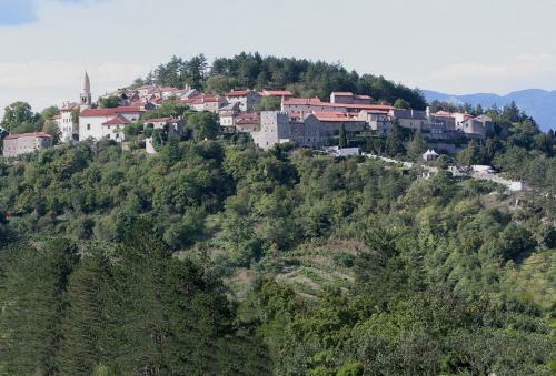 Hostal Hi?a Posebne Sorte
