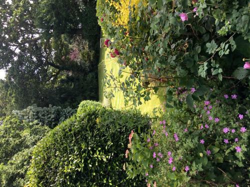 Discoveries Guest House & Luxury Spa