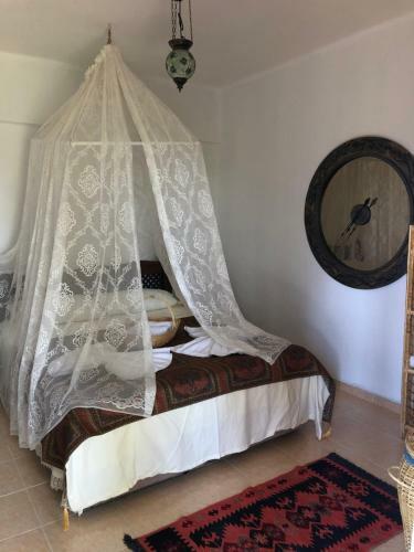 Bed & Breakfast Zirkon Do?a Butik Otel