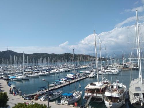 Hotel Ece Marina Suit