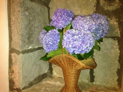 Moradia R�stica Jardim