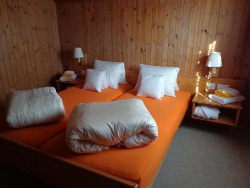 Hostal Gasthof Surselva
