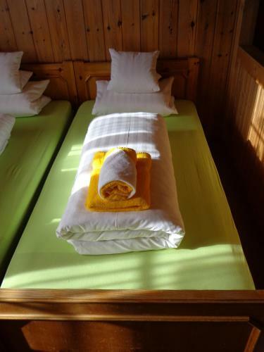Hostal Gasthof Surselva