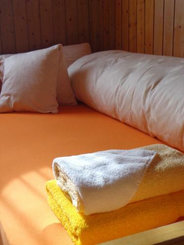 Hostal Gasthof Surselva