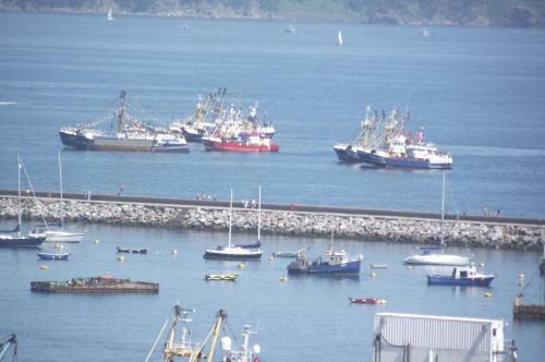 Brixham Harbour Views House