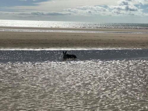 Bridlington's Bolt Hole Chalet