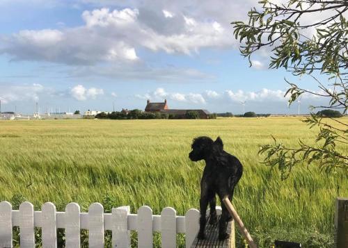Bridlington's Bolt Hole Chalet