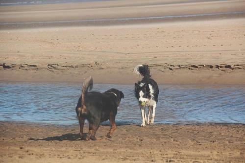 Bridlington's Bolt Hole Chalet