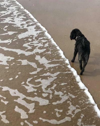 Bridlington's Bolt Hole Chalet