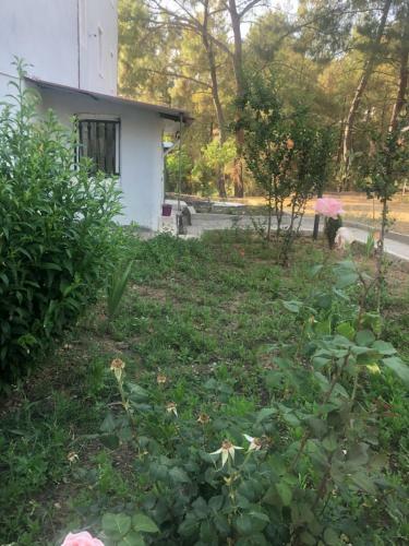 Apartamento Fethiyede Tatil
