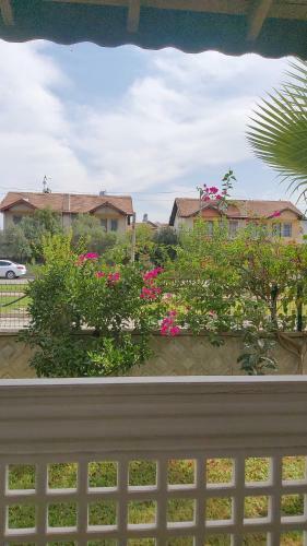 Peaceful House
