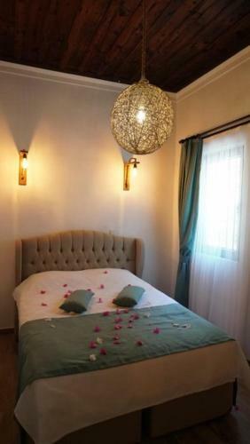 Kakt�s Tatil Evleri