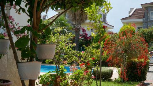Villa Yavuz (�al??)
