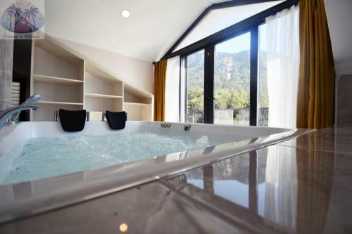 Desen Villa 2