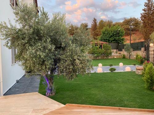 Villa Kelebek