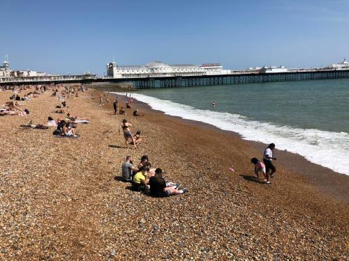 Charming Cottage & Garden - Central Brighton!