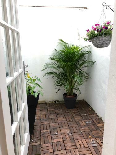Charming Cottage & Garden - Central Brighton!