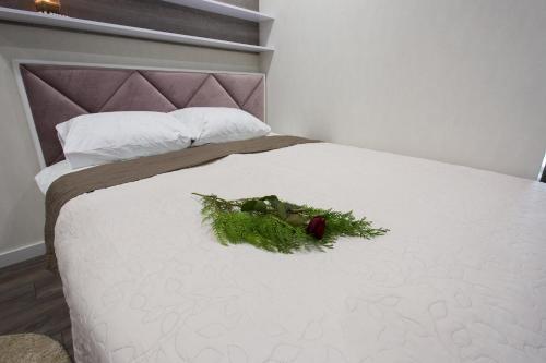 New Apartment Near Shevchenko Park