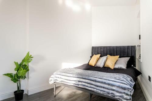 Stylish Central Studio Apartment Modern Luxury