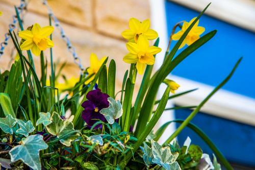 Buxton Centre Cosy Cottage With Free Secure Parking