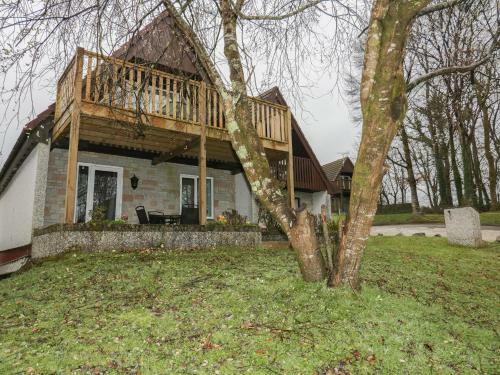 Treehouse Lodge