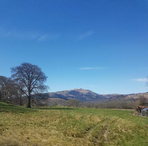 Bed & Breakfast The Auld Forge