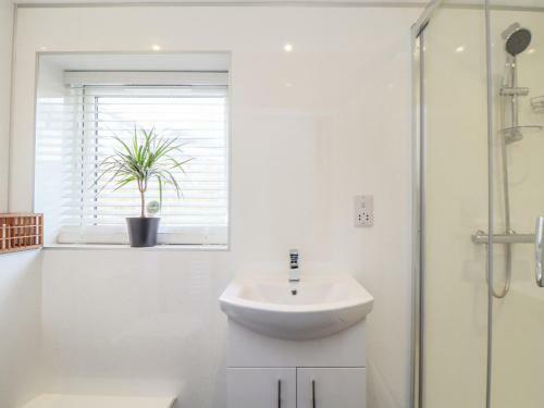 Apartamento Mews House