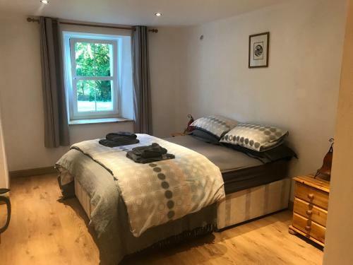 Plas Eryr Apartment