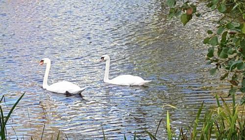 89 Lower Lakeside - Glan Gwna Holiday Park