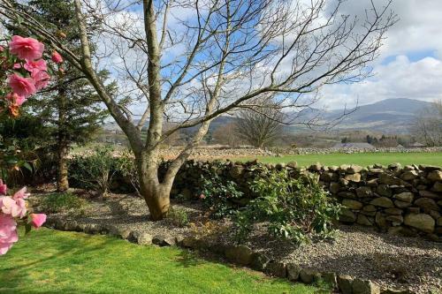 Snowdonia Cabin