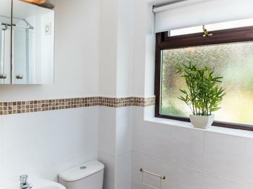 Pass The Keys Spacious Cottage Just Outside Cardigan - Sleeps 5