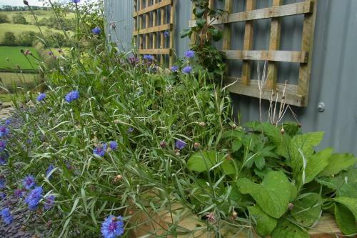 Rhiwiau Self Catering