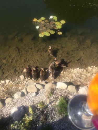 Apartamento Carmels Caravan Borwick Lakes