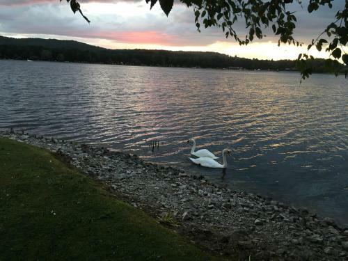 Villa Tegid Lodge- Pine Lake Resort