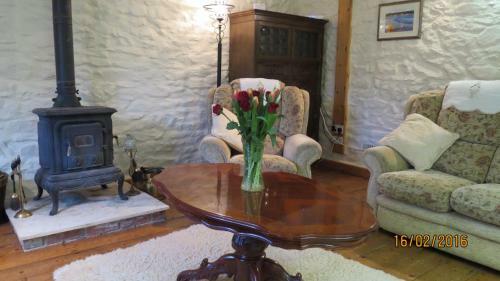 Cwmddol Fawr Cottage