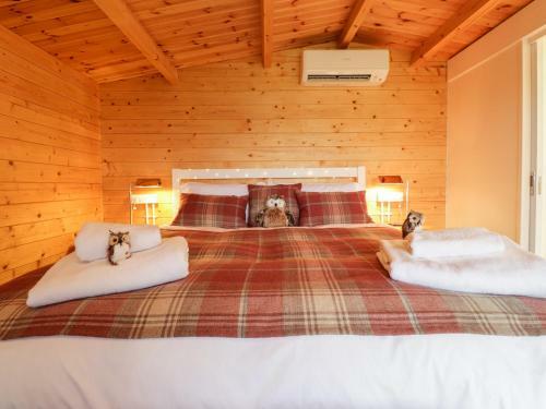 Owl Lodge