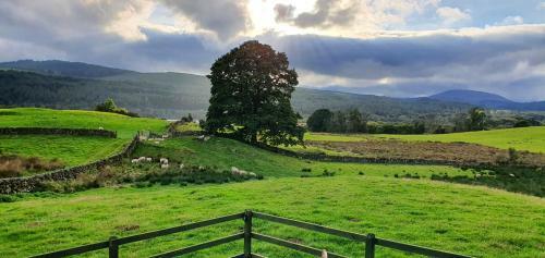 Fauld O Wheat Shepherds Hut , Loch Ken ,off Grid