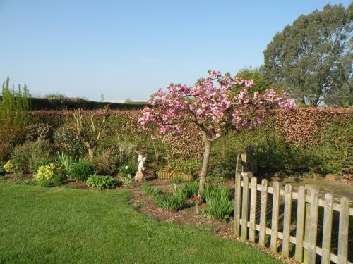 Agroturismo Woodfield Self-catering Apartment