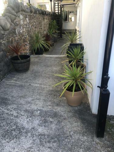 Hostal Parklane Guest House
