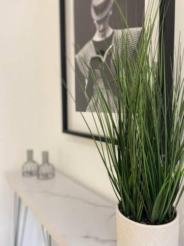 Fully Furnished And Stylishly Decorated Apartment (Flat 2)
